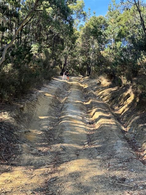 Everything to know about planning a trip from bendigo to melbourne 20