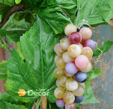 Дерево Виноград в горшке 140см купить