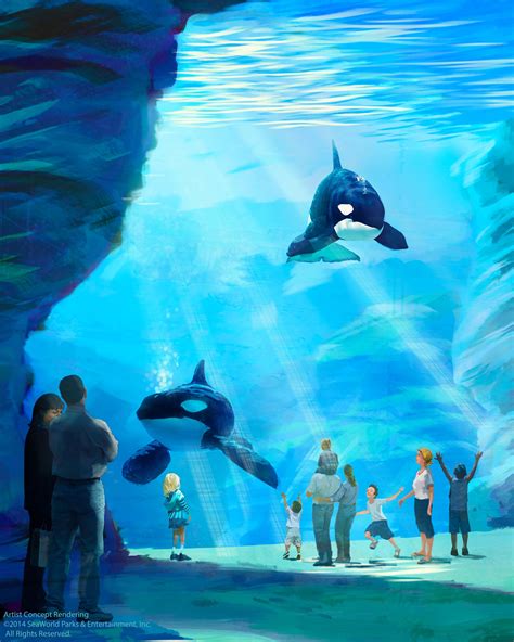 Seaworld Announces First Of Its Kind Killer Whale Environment And More