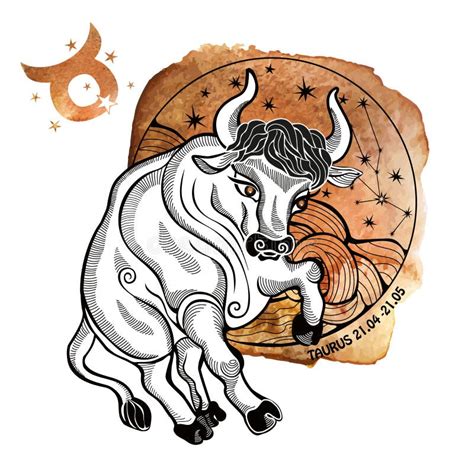 Taurus And The Zodiac Sign Horoscope Circle Vecto Stock Vector