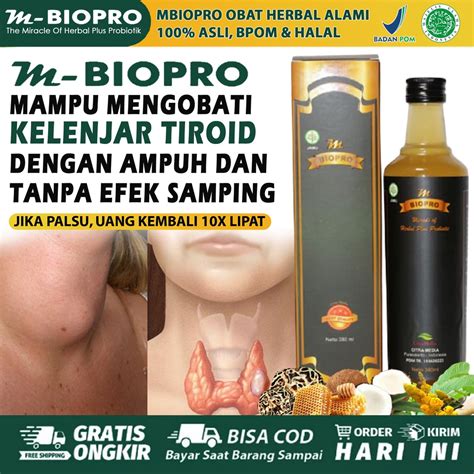 Jual Obat Kelenjar Tiroid Benjolan Di Leher Kelenjar Getah Bening