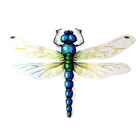 Download Watercolor Dragonfly Png 05212024