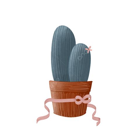 Cactus Con Cinta En La Olla Png Planta De Cactus Arte De Cactus árbol De Cactus Png Y Psd