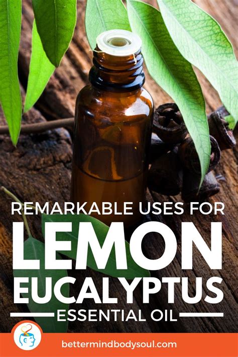 The Many Uses For Lemon Eucalyptus Oil Lemon Eucalyptus Essential Oil Lemon Eucalyptus Oil