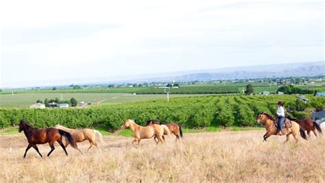 Yakima Valley Road Trip -- National Geographic Traveler