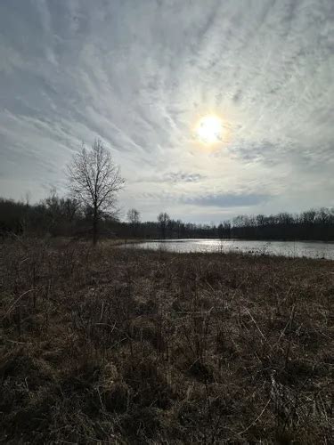 Best Bird Watching Trails in Pokagon State Park | AllTrails