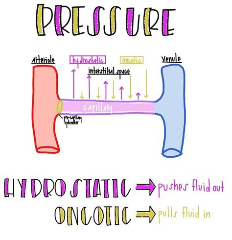 The Structure Of An Object Labeled In Three Different Languages