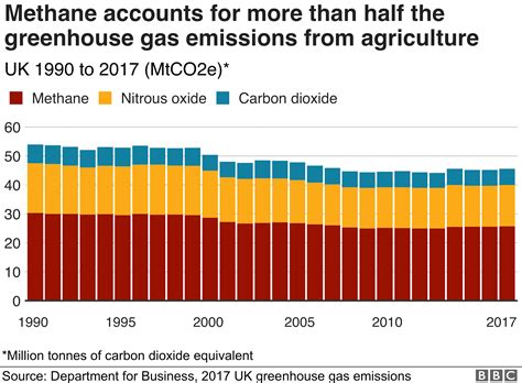 Five Ways UK Farmers Are Tackling Climate Change BBC News