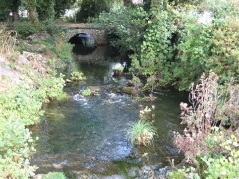 Small River Running Through Cheddar Somerset By William Bedell At