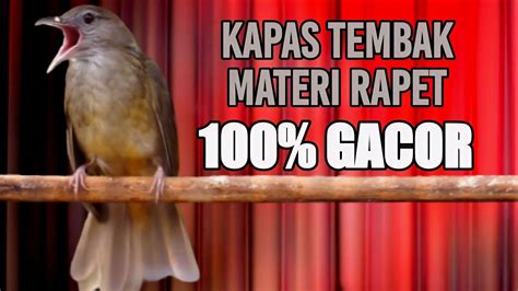 Kapas Tembak Gacor Materi Rapat Tembakan Keras Suara Jernih Ampuh