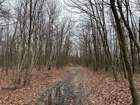 ATV Dead End Pennsylvania Off Road Trail Map Photos OnX Offroad