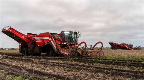 Potato Battle Getting STUCK 2x Grimme Ventor 4150 Dewulf Kwatro