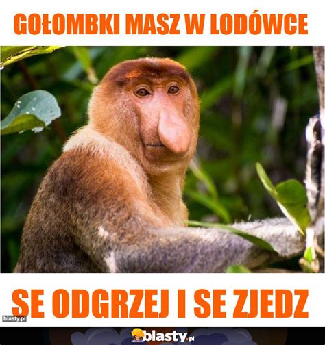 Go Ombki Masz W Lod Wce Memy Gify I Mieszne Obrazki Facebook Tapety