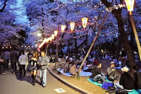 Tokyo Travel Guide Ueno Ueno Park Ueno Koen During Cherry Blossom