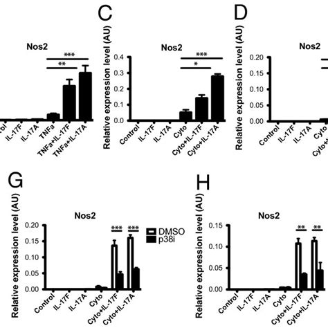 Pancreatic β Cells Respond To Il 17f Signals Via Il 17ra And Rc A