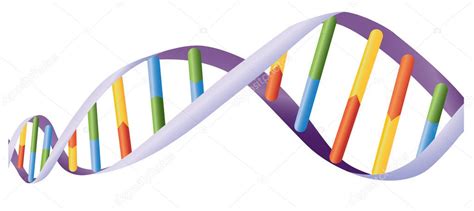 Dna Helix — Stock Vector © Interactimages 10456997