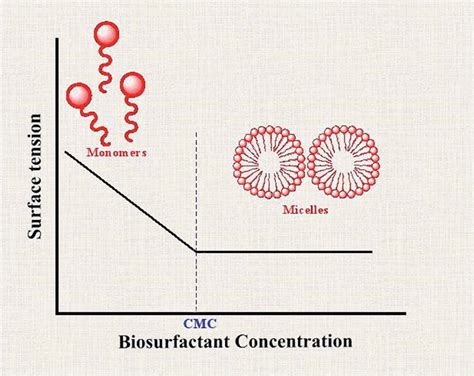 Relationship Between Surface Tension And Biosurfactant Concentration And Download Scientific