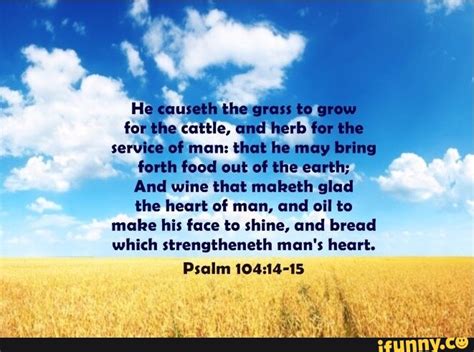 He Causeth The Grass To Grow For The Cattle And Herb For The Service