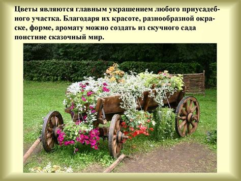 Цветы в саду - презентация онлайн