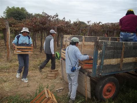 Agricultura Familiar En Salta 2014