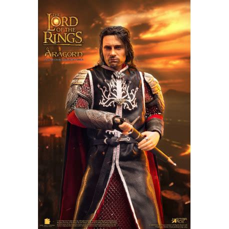 Figura El Se Or De Los Anillos Aragorn Solo Lafrikileria