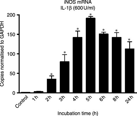 Time Dependent Effect Of Il 1b On The Inos Gene Expression In Download Scientific Diagram