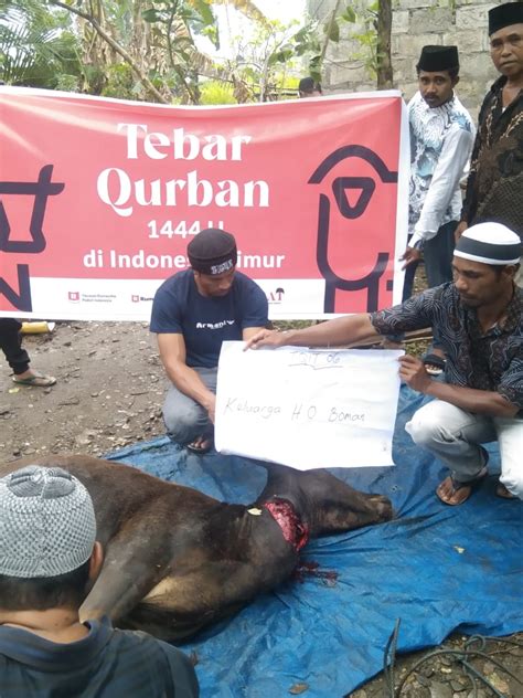 Laporan Tebar Qurban Indonesia Timur Idul Adha H Bagian