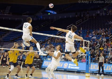 Ncaa Volleyball Top Mens Teams All Win One Womens Job Filled