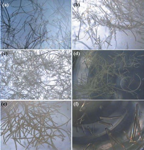 Figure 1 From Curved Crystal Morphology Photoreactivity And