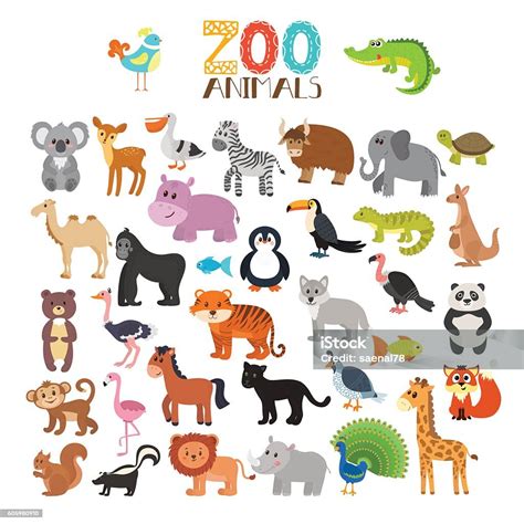 Vector Collection Of Zoo Animals Set Of Cute Cartoon Animals Arte