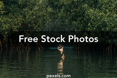 Unusual Nature Pics Photos Download The Best Free Unusual Nature Pics