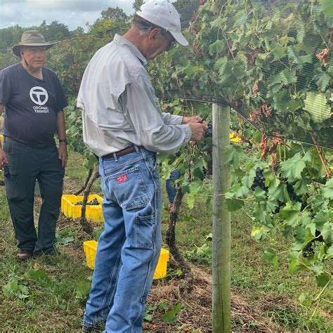 Good Luck Cellars Virginia S River Realm