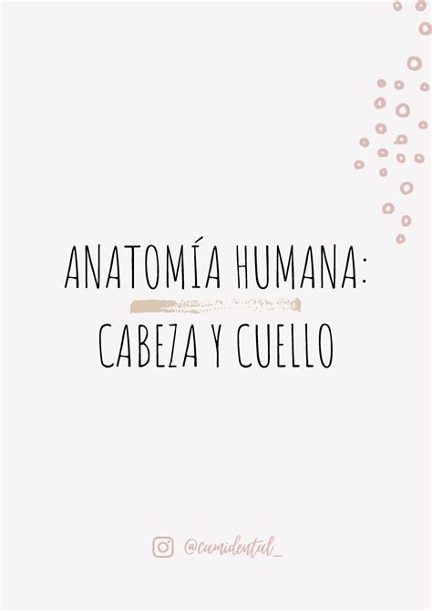 Anatom A Humana Cabeza Y Cuello Tomo I Anatom A Humana Cabeza Y