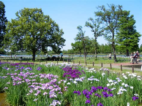 水元公園（東京都葛飾区） Parkful公園をもっと身近に、もっと楽しく。