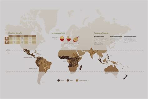 Conoce los países productores de café Bonka