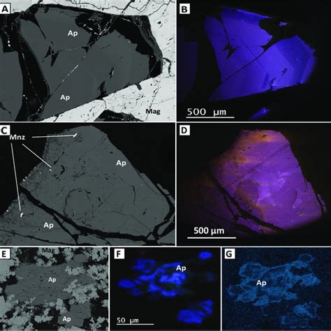 Representative BSE And Cathodoluminescence CL Images For Apatite From