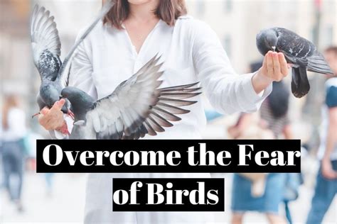 How To Overcome The Fear Of Birds Ornithophobia