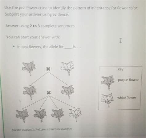 Solved Use The Pea Flower Cross To Identify The Pattern Of Inheritance