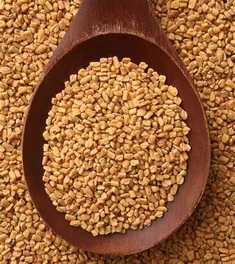 Amazing Benefits And Uses Of Fenugreek Sprouts For Skin Hair And Health