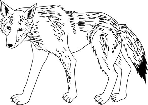 P Gina Para Colorear De Un Lobo De Estilo De Dibujos Animados The