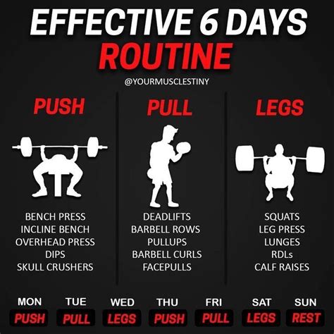 Push Pull Legs Routine Push Pull Legs Workout Leg Workout Plan 1