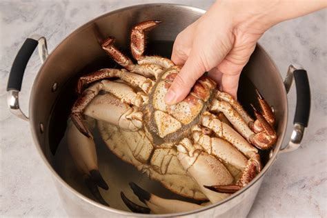 C Mo Cocer Un Buey De Mar La Receta Para Que Quede En Su Punto