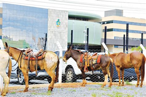 Votação da taxa do agro será híbrida e sem público O Popular