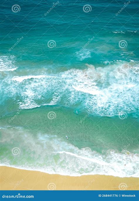 Vertical Das Lindas Ondas De Espuma Do Mar De Tartaruga Capturado De