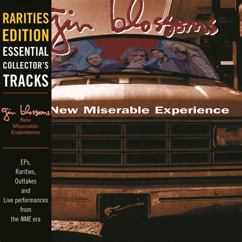 Release “New Miserable Experience: Rarities Edition” by Gin Blossoms ...