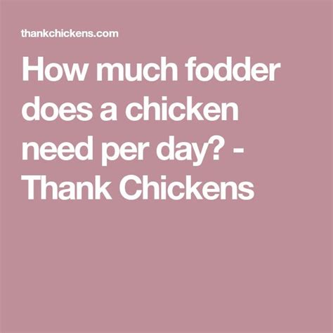 Chicken Fodder How Much Do They Need