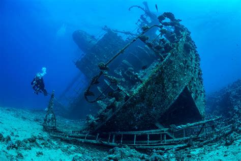 Scuba Diving Antigua Best Spots What To Expect Sandals