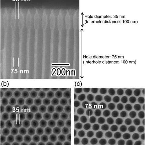 SEM Images Of An Anodic Porous Alumina Membrane With A Bilayer