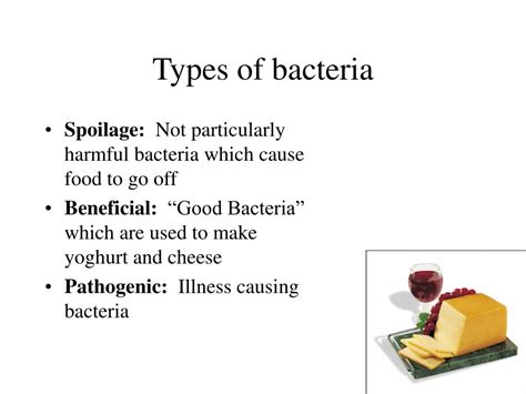 PPT - Types of bacteria PowerPoint Presentation, free download - ID:25970