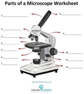 Parts of a Microscope - SmartSchool Systems